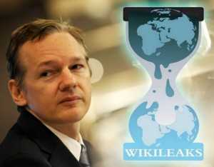 wikileaks4sdgoi